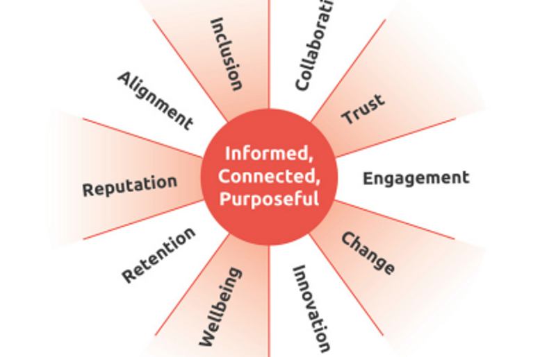 Showcase your involvement 