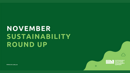 November Sustainability Round Up.png