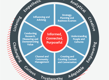 Image of the profession map showing the core in the middle with the profession areas around the outside and bordered by the behaviours.