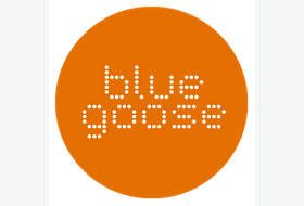 bg logo  orange digital.png