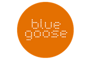 bg logo  orange digital.png