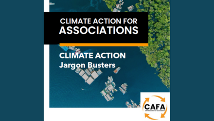CAFA Jargon Busters 572 x 325.png