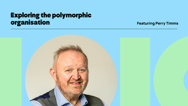 Podcast graphic featuring Perry Timms. "Exploring the polymorphic organisation."