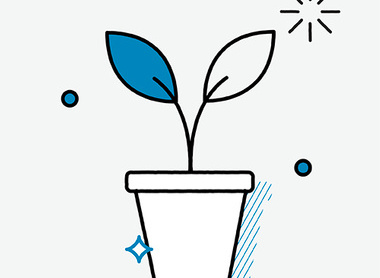 Image of a plant in a plant pot 