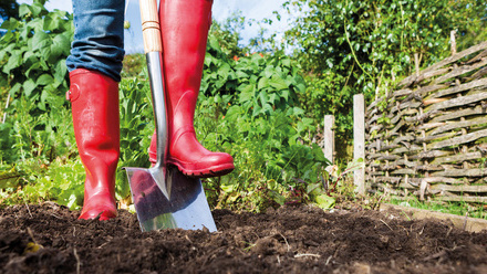 Building online communities on common ground .jpg